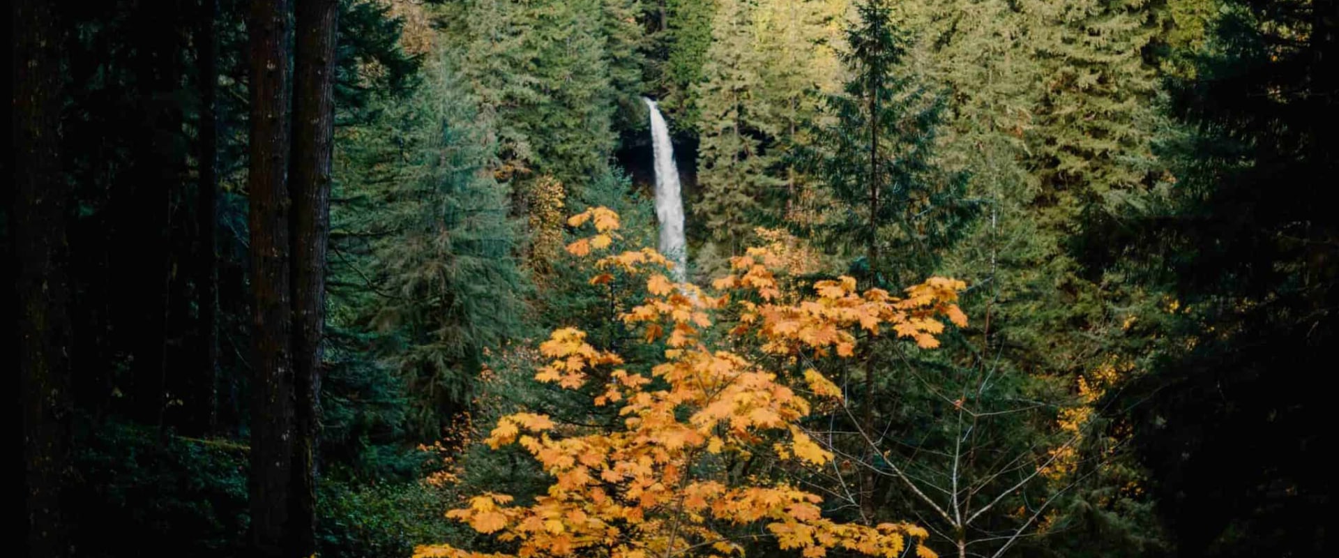The Rise of Flexible Training Programs in Northwest Oregon