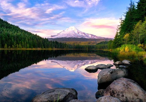 Unlocking Scholarship and Grant Opportunities for Training Programs in Northwest Oregon