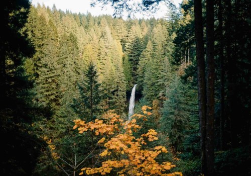 The Rise of Flexible Training Programs in Northwest Oregon